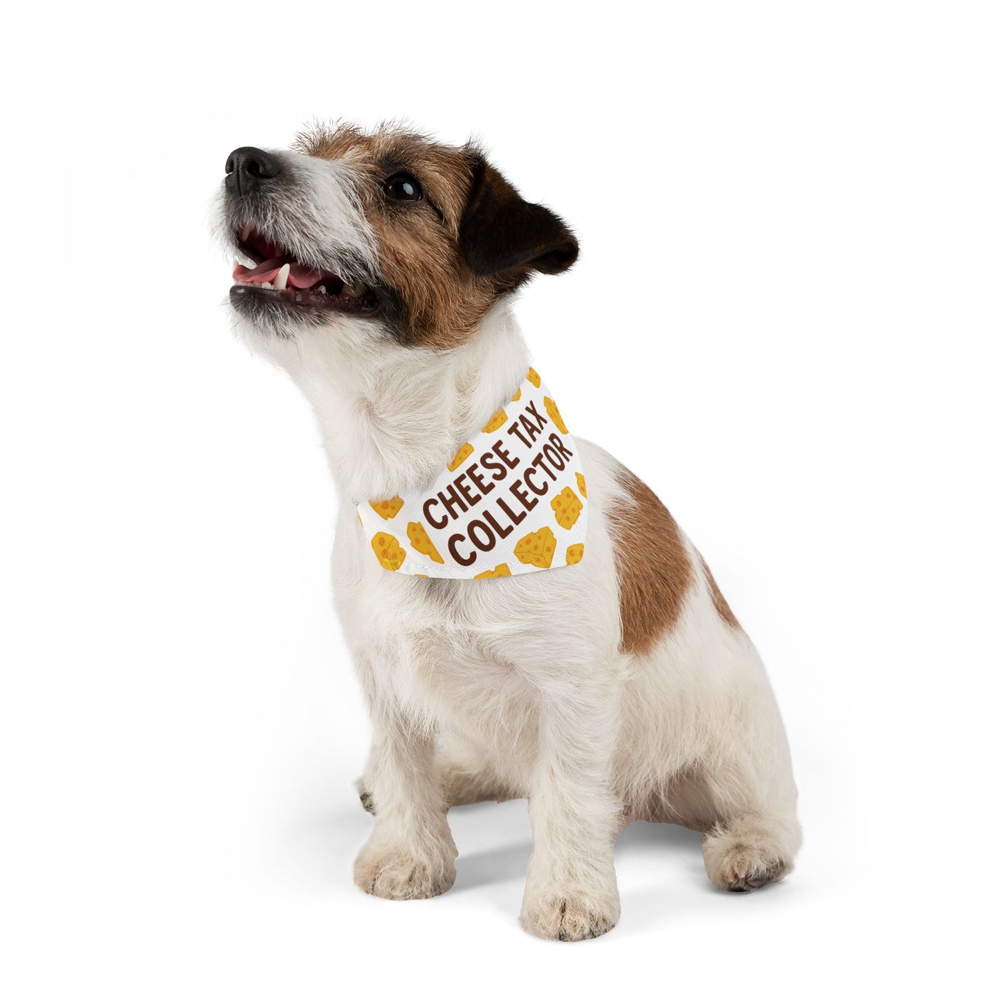 Cheese Tax Collector Pet Bandana Collar, Funny Dog Accessory, Pet Gift, Birthday Celebration, Unique Pet Apparel, Cute Puppy Fashion