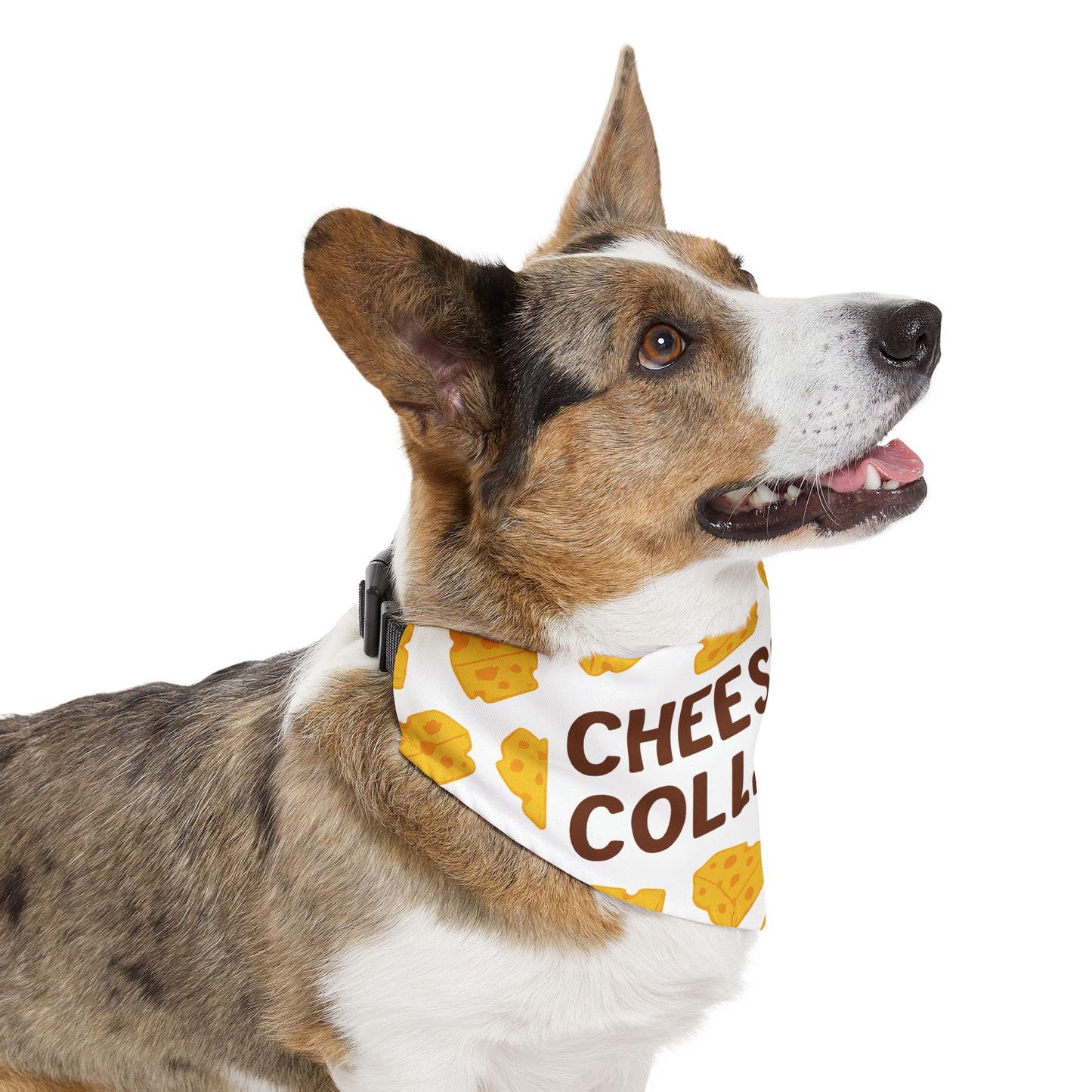 Cheese Tax Collector Pet Bandana Collar, Funny Dog Accessory, Pet Gift, Birthday Celebration, Unique Pet Apparel, Cute Puppy Fashion