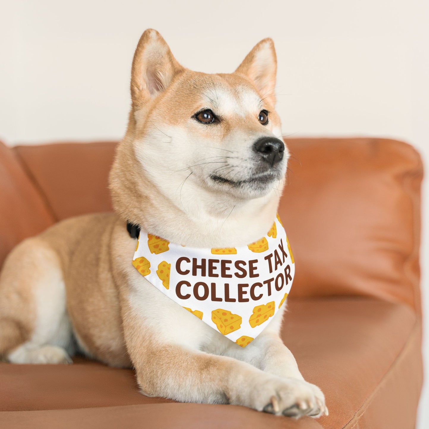 Cheese Tax Collector Pet Bandana Collar, Funny Dog Accessory, Pet Gift, Birthday Celebration, Unique Pet Apparel, Cute Puppy Fashion