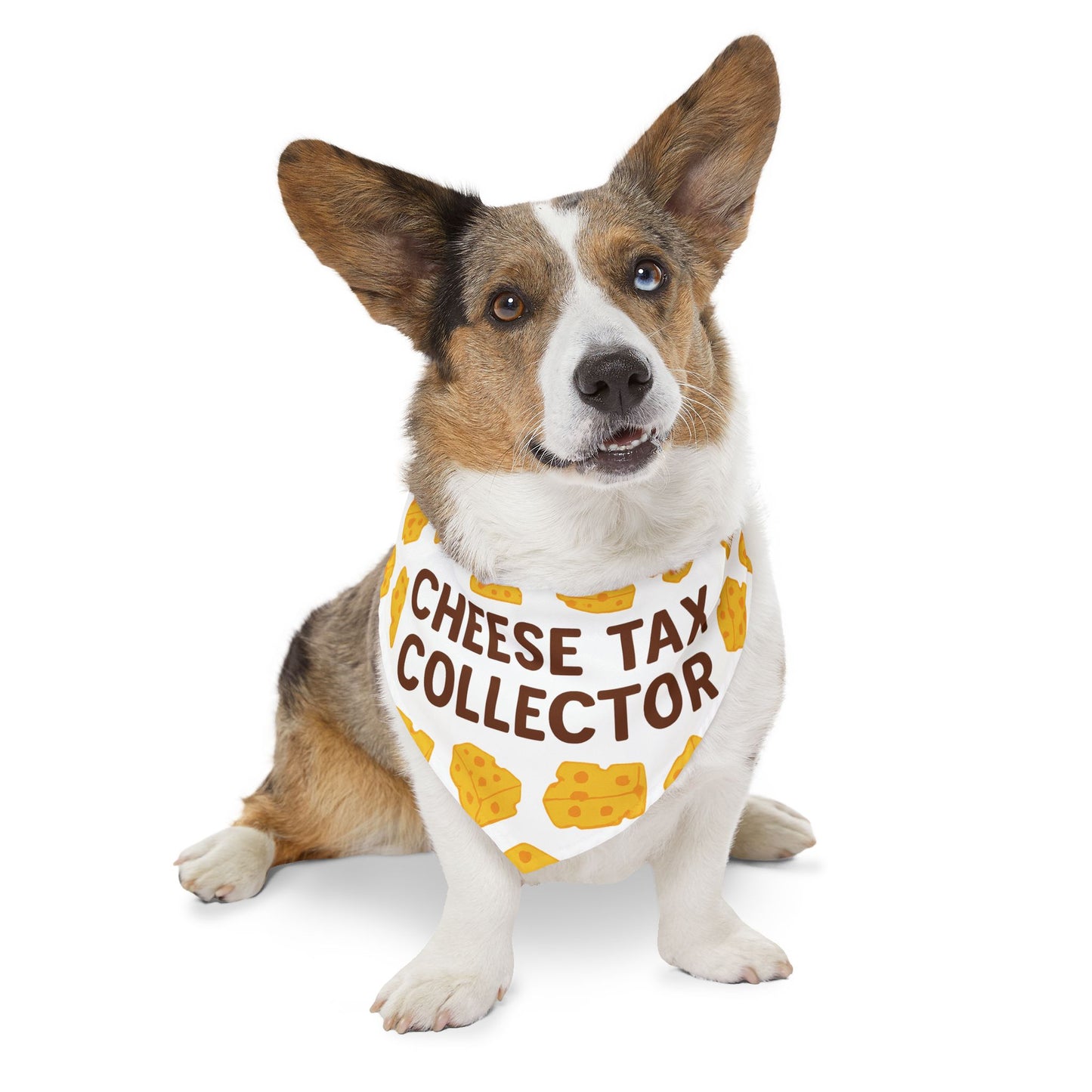 Cheese Tax Collector Pet Bandana Collar, Funny Dog Accessory, Pet Gift, Birthday Celebration, Unique Pet Apparel, Cute Puppy Fashion