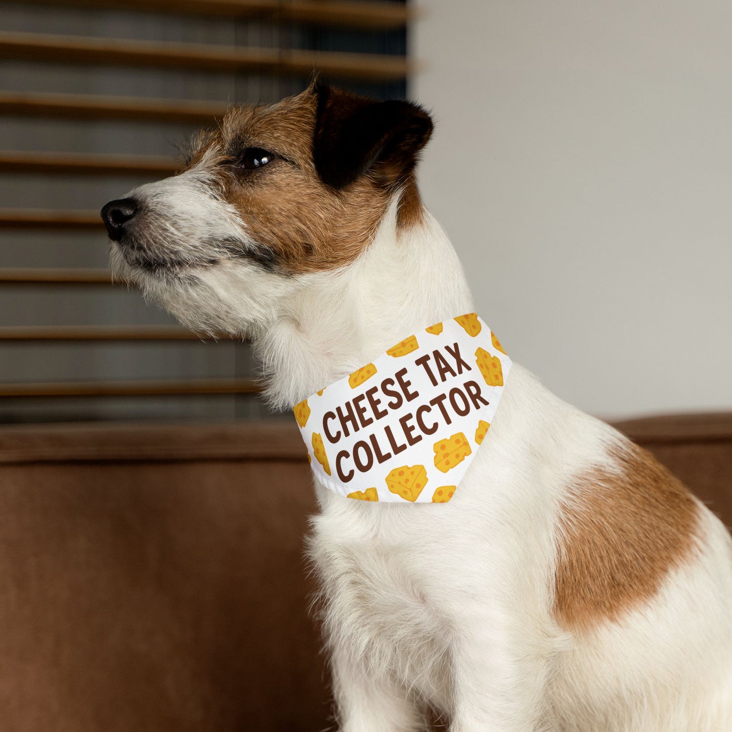Cheese Tax Collector Pet Bandana Collar, Funny Dog Accessory, Pet Gift, Birthday Celebration, Unique Pet Apparel, Cute Puppy Fashion