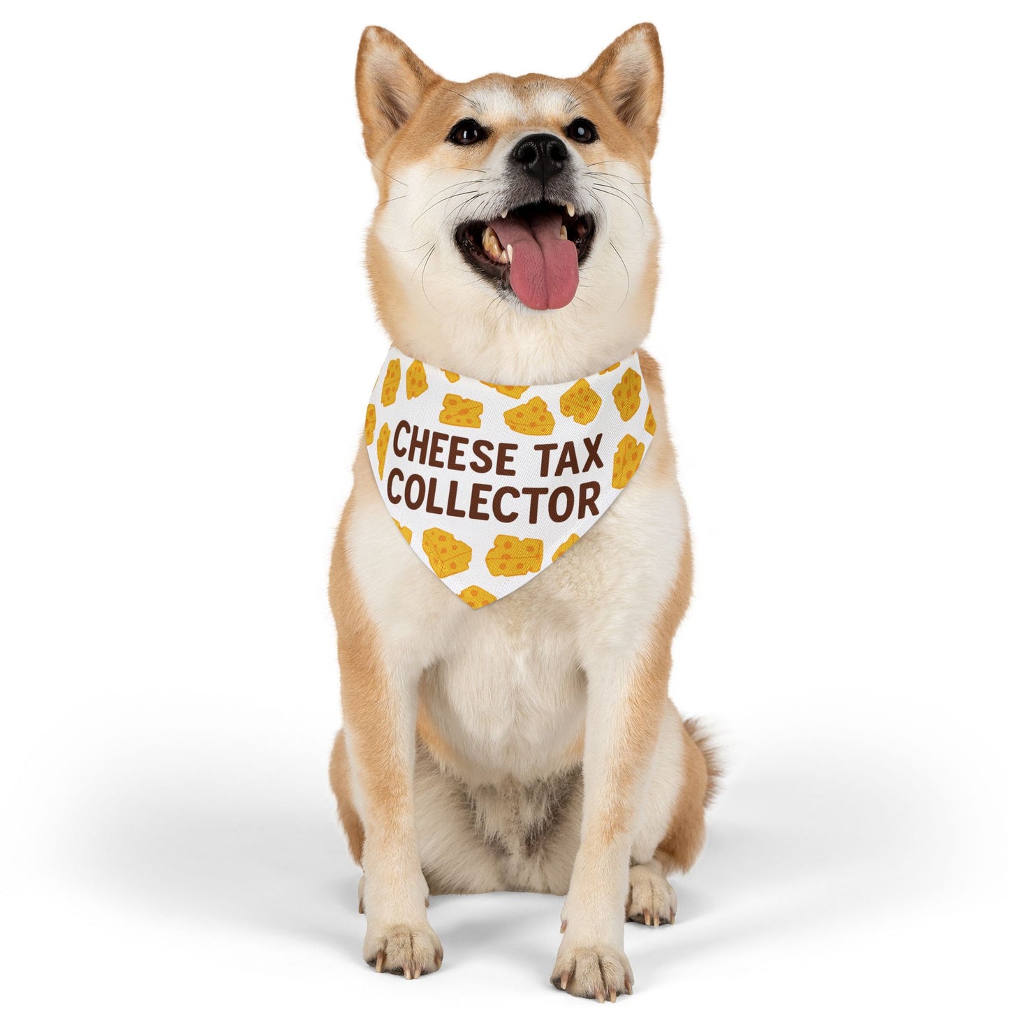 Cheese Tax Collector Pet Bandana Collar, Funny Dog Accessory, Pet Gift, Birthday Celebration, Unique Pet Apparel, Cute Puppy Fashion