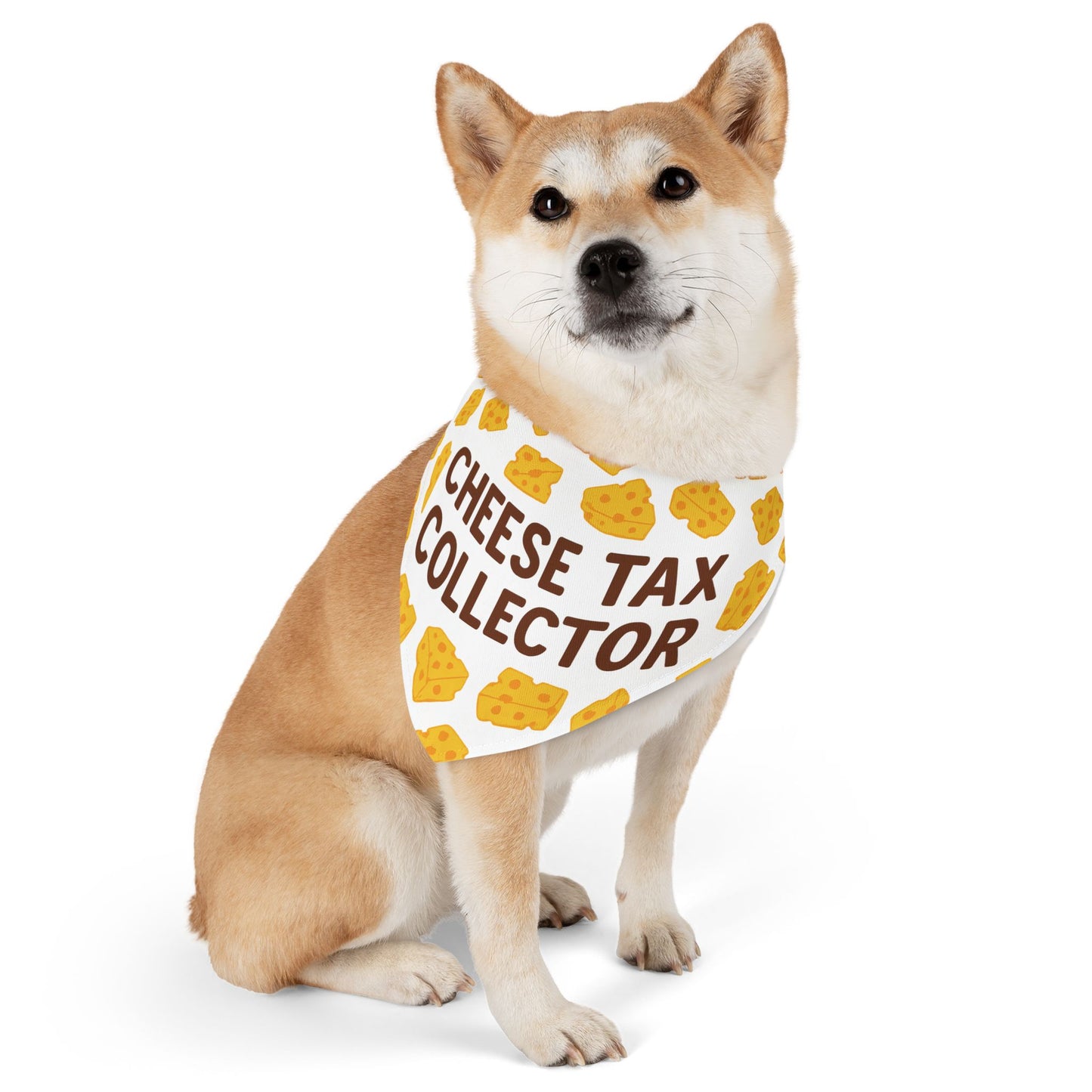 Cheese Tax Collector Pet Bandana Collar, Funny Dog Accessory, Pet Gift, Birthday Celebration, Unique Pet Apparel, Cute Puppy Fashion